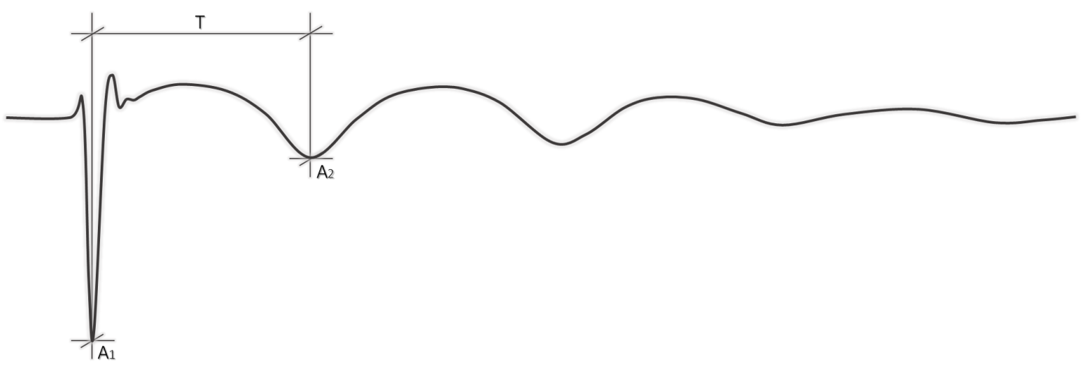 Seismic Source Signature - Wavelet